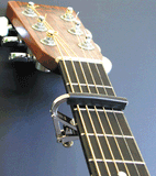 Shubb Capos