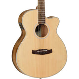 Tanglewood Discovery Electro Acoustic Guitar - Black Walnut