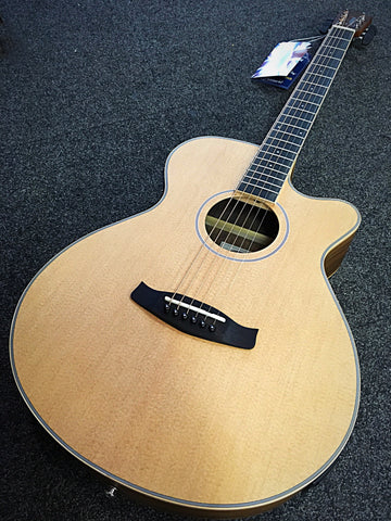 Tanglewood Discovery Electro Acoustic Guitar - Black Walnut