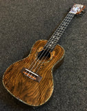 Blackwater Electro-Acoustic Concert Ukulele - Butterfly Wood