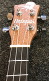 Octopus Mahogany Tenor Ukulele