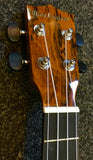 Blackwater Electro-Acoustic Tenor Ukulele - Butterfly Wood