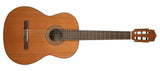 Salvador Cortez CC22 Classical Guitar