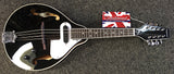 Tanglewood Teardrop Electric/Acoustic Mandolin