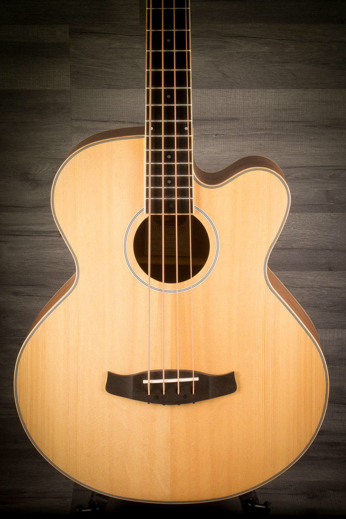 Tanglewood DBT Acoustic Bass Guitar