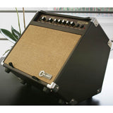 Carlsbro Sherwood 20 - Acoustic Guitar Amp