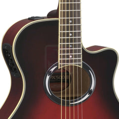 Electro Acoustic Guitars